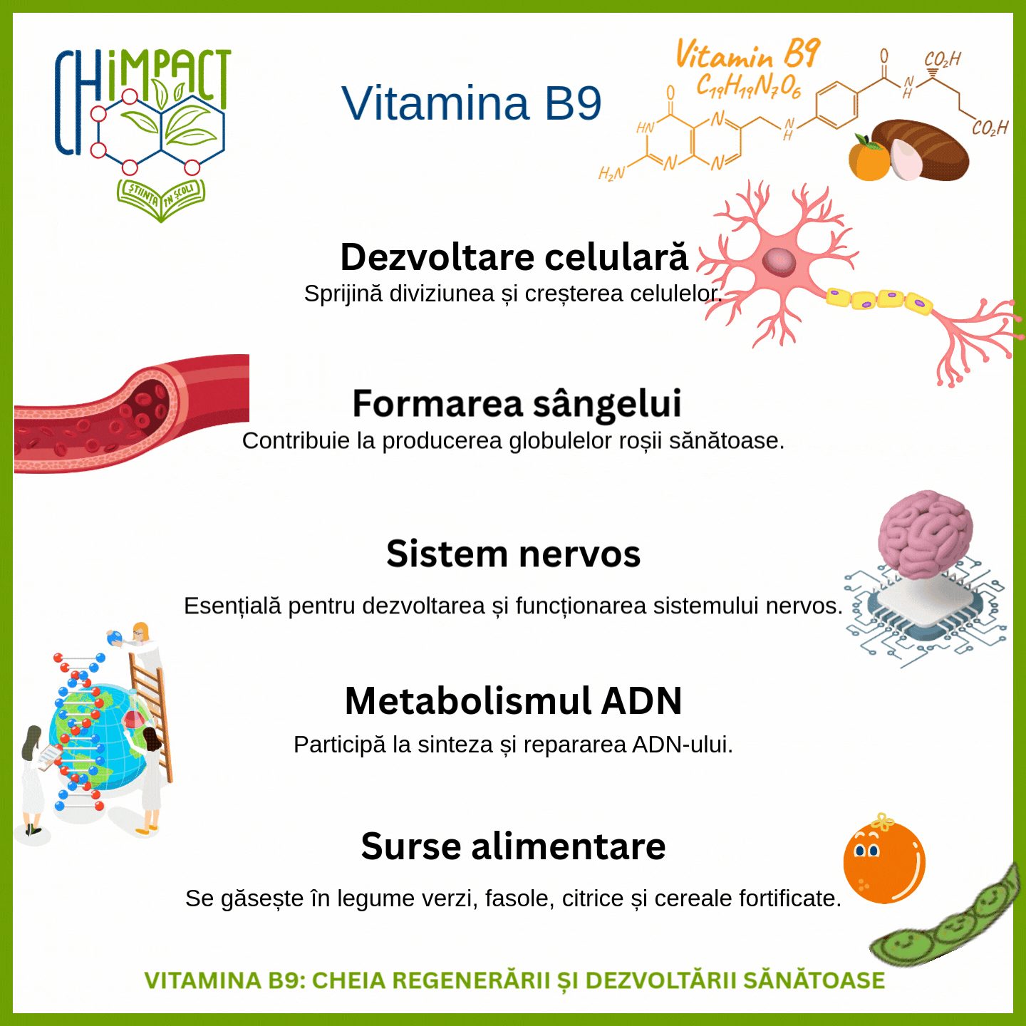 VitaminaB9